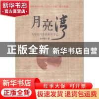 正版 月亮湾:大学生村官的岁月手记 宋中锋著 河南文艺出版社 978