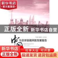 正版 2014中国与全球金融风险发展报告(全2册) 叶永刚,宋凌峰