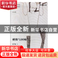 正版 碰撞与回响 邱华栋著 江苏凤凰文艺出版社 9787559405210 书