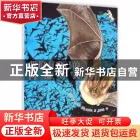 正版 我们有自己的沟通方式 (韩)蔡仁善 著,鹿福荣 译 中国