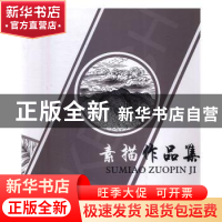 正版 素描作品集 胡树斌[著] 西南交通大学出版社 9787564348007