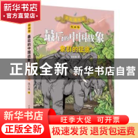 正版 最后的中国战象:象群的征途 沈石溪 著 山东画报出版社 9787