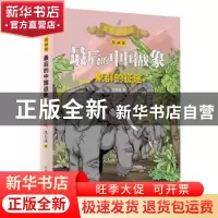 正版 最后的中国战象:象群的征途 沈石溪 著 山东画报出版社 9787