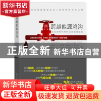 正版 跨越能源鸿沟:后石油时代如何应对能源危机 (美)罗伯特·U·