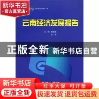 正版 2010-2011云南经济发展报告 康云海,宣宜主编 云南大学出版