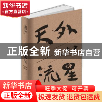 正版 天外流星:长篇武侠小说 张子牛[著] 成都时代出版社 978754