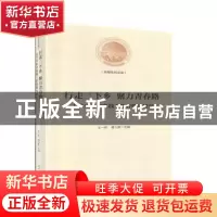 正版 行走三下乡 聚力青春路:大学生社会实践工作管理与研究 王一