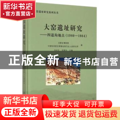 正版 大窑遗址研究:四道沟地点:1980-1984 冯兴无,汪英华主编 科