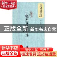 正版 丁晓原文学评论选 丁晓原著 江苏凤凰文艺出版社 9787559408