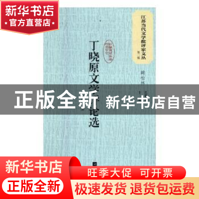 正版 丁晓原文学评论选 丁晓原著 江苏凤凰文艺出版社 9787559408