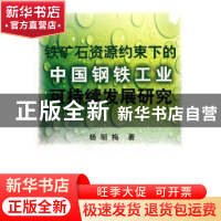 正版 铁矿石资源约束下的中国钢铁工业可持续发展研究 杨丽梅 著