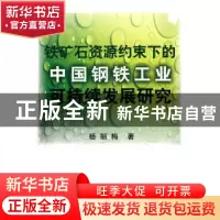 正版 铁矿石资源约束下的中国钢铁工业可持续发展研究 杨丽梅 著