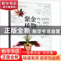 正版 紫金植物 叶钦良 著,叶钦良,钟智明,李玉峰,吴林芳 编