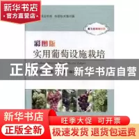 正版 彩图版实用葡萄设施栽培 晁无疾,单涛,张燕娟 著 中国农业