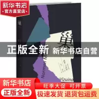 正版 巢 [罗]诺曼·马内阿 新星出版社有限责任公司 9787513332828