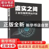 正版 虚实之间:工业互联网平台兴起 李颖,尹丽波 电子工业出版社