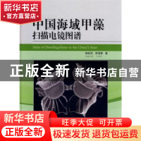 正版 中国海域甲藻扫描电镜图谱 杨世民,李瑞香著 海洋出版社 97