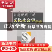 正版 当前视域下的文化社会学探究 汤秀丽 著 水利水电出版社 978