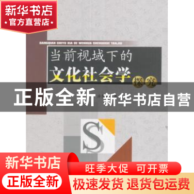 正版 当前视域下的文化社会学探究 汤秀丽 著 水利水电出版社 978