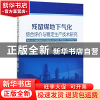 正版 残留煤地下气化综合评价与稳定生产技术研究 黄温钢,王作棠