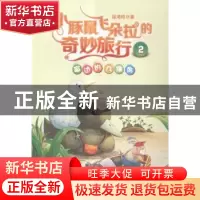 正版 小豚鼠飞朵拉的奇妙旅行:2:窗边的几维鸟 徐浠晗著 希望出版