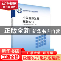 正版 中国能源发展报告:2016:2016:2016:2016 林伯强主编 北京大