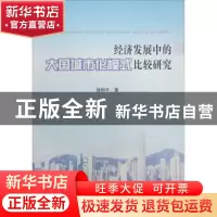 正版 经济发展中的大国城市化模式比较研究 徐和平著 人民出版社