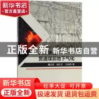 正版 火力渗透贯通煤炭地下气化 柳吉祥,周仕学,王彦洪著 科学