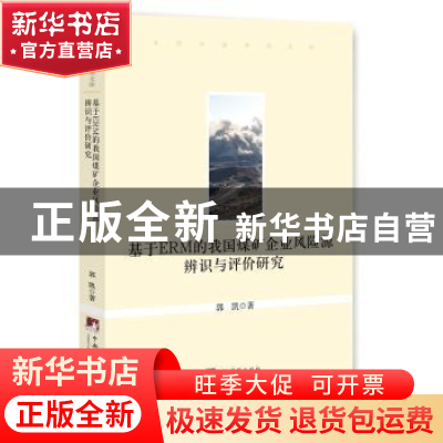 正版 基于ERM的我国煤矿企业风险源辨识与评价研究 郭凯著 中央编