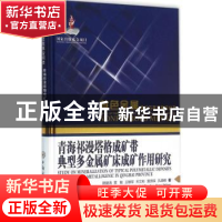 正版 青海祁漫塔格成矿带典型多金属矿床成矿作用研究 赖健清[等]