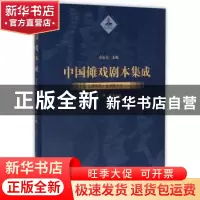 正版 中国傩戏剧本集成:二:江淮神书·金湖香火戏 朱恒夫 上海大学