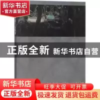 正版 中国油画的写意精神 廖林,付胜辉著 中国纺织出版社 978751
