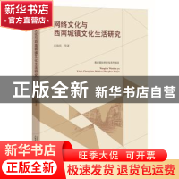 正版 网络文化与西南城镇文化生活研究 皮海兵等著 广西师范大学