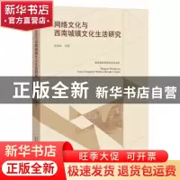 正版 网络文化与西南城镇文化生活研究 皮海兵等著 广西师范大学