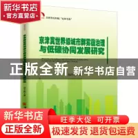 正版 京津冀雾霾治理与低碳协同发展研究 陆小成著 中国经济出版