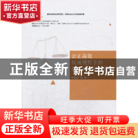 正版 公正高效权威视野下的民事司法制度研究 宋朝武等著 中国人