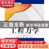 正版 工程力学 杨传华,杨海主编 北京航空航天大学出版社 978751