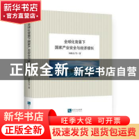 正版 全球化背景下国家产业安全与经济增长 何维达 知识产权出版