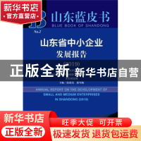 正版 山东省中小企业发展报告:2019:2019 孙国茂 社会科学文献出