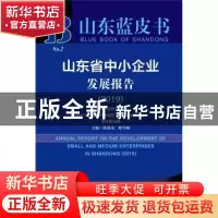 正版 山东省中小企业发展报告:2019:2019 孙国茂 社会科学文献出