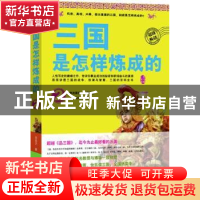 正版 三国是怎样炼成的:2 汤浩方著 广西师范大学出版社 97875495