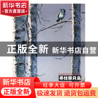 正版 寻找那只鸟:天民集:tianmin's work 郭天民著 湖南美术出版