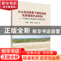 正版 火山活动背景下断陷湖盆优质储层形成机制:以海拉尔盆地贝尔