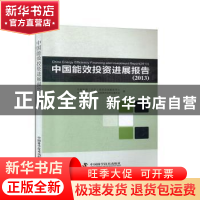 正版 中国能效投资进展报告(2013) 中能世通(北京)投资咨询服务中