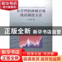 正版 东营凹陷砂砾岩体地震描述方法 于正军著 中国地质大学出版