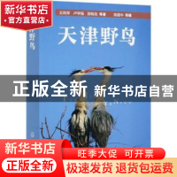 正版 天津野鸟 王凤琴,卢学强,邵晓龙,陈建中 化学工业出版社 978