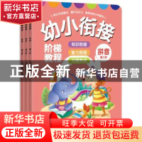 正版 幼小衔接阶梯教程:拼音(全3册) 上海元远教育 同济大学出