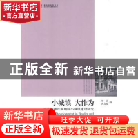 正版 小城镇大作为:西南边疆民族地区小城镇建设研究 罗淳,武友