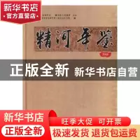 正版 精河年鉴:2016 中共精河县委党史研究室(地方志办公室)编 中