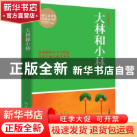 正版 大林和小林:插图珍藏本 张天翼著 湖南文艺出版社 978754046